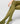 All Colors 50 D - Tights - 350 Botanic