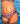 Swimwear - Tai Extension - W482 JAMAICA