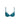 JANE - Push-up Bra Removable Pads - PEA Peacock